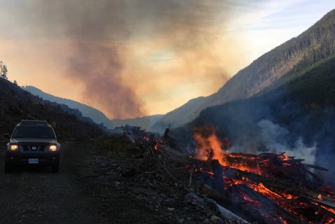The Climate Disaster Hidden in BC’s Forests
