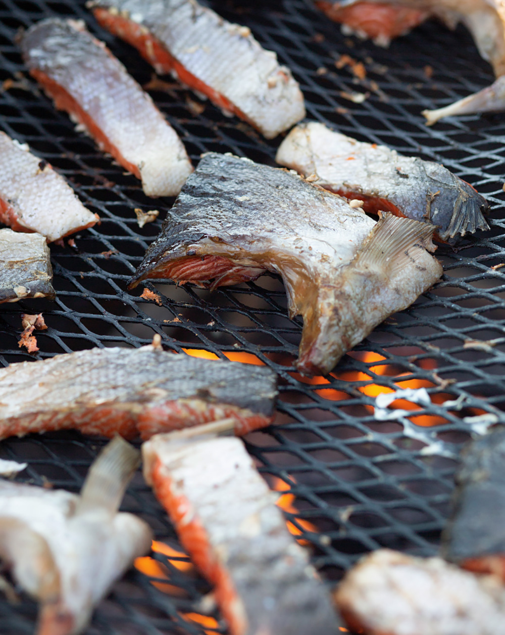 582px version of BBQSalmonGrill.jpg