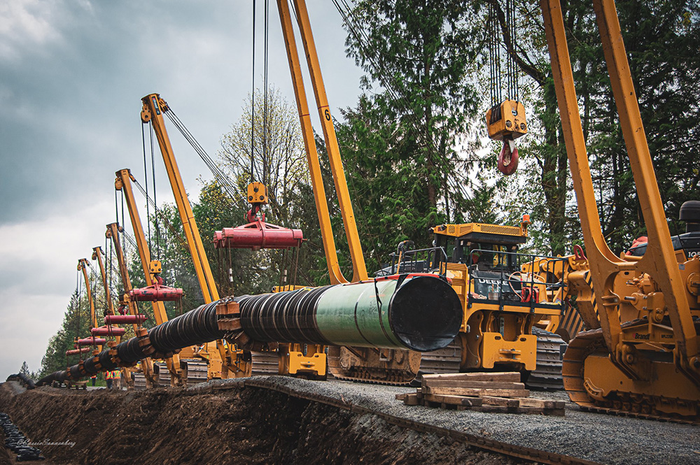 A row of seven large yellow cranes mounted on bulldozers lowers a large section of pipeline into an open ditch.