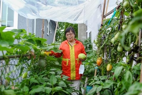 Putting Down Roots in Vancouver’s Backyard Gardens