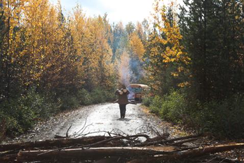 How Fairy Creek Is Influencing the Wet’suwet’en Resistance