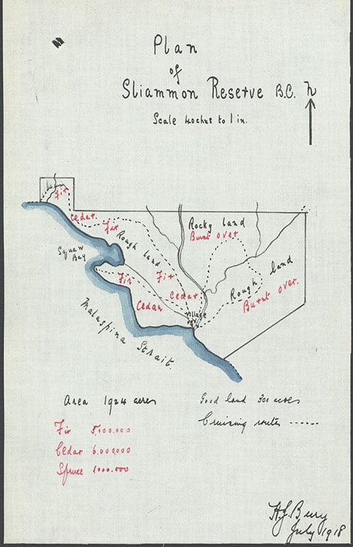 Tlaamin1918PlanReserve.jpg