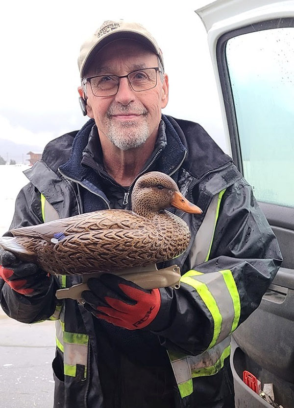 582px version of DougBrandtDecoyDuck.jpg