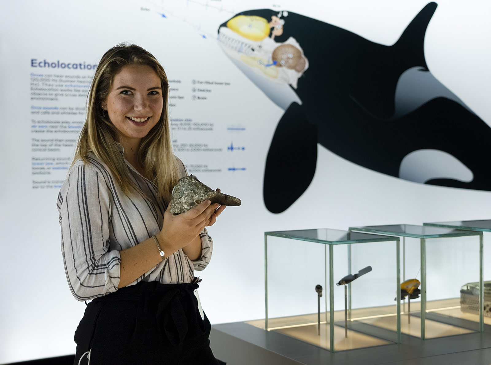851px version of Elizabeth Rohlicek w/ whale fossil