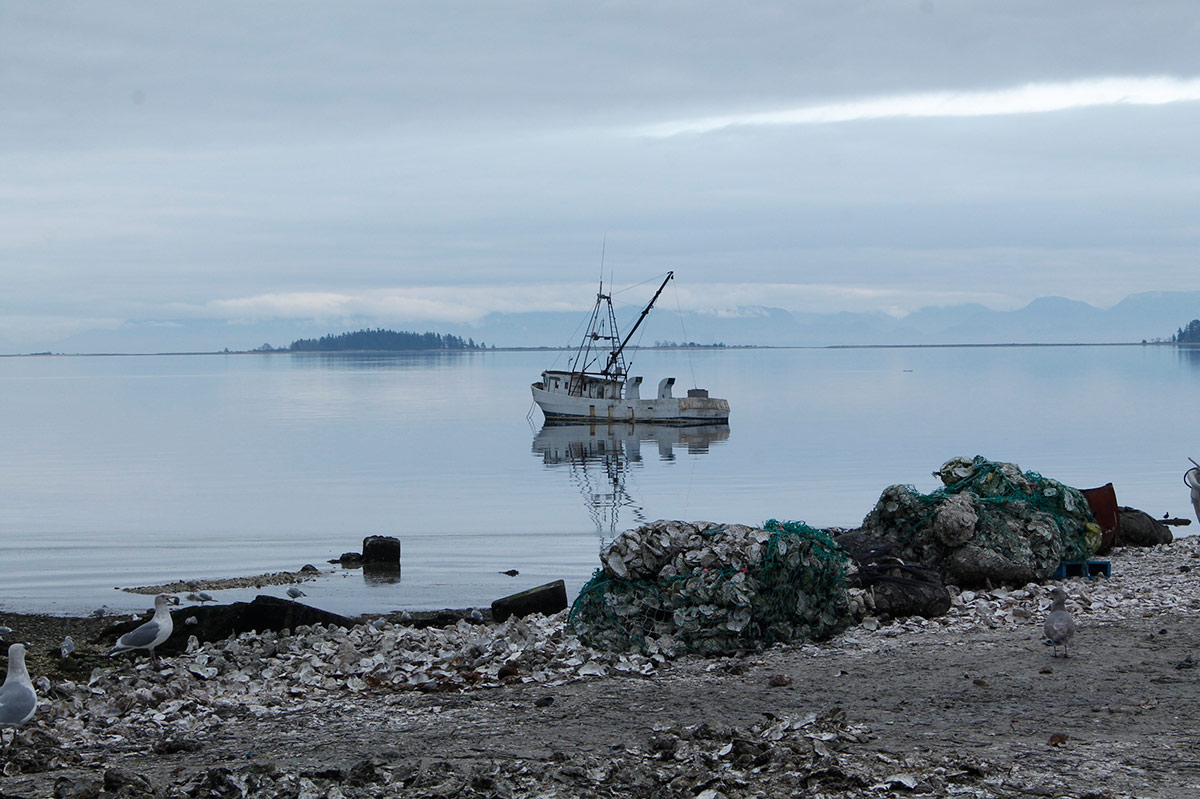 851px version of BaynesSoundOysterCoBoat.jpg