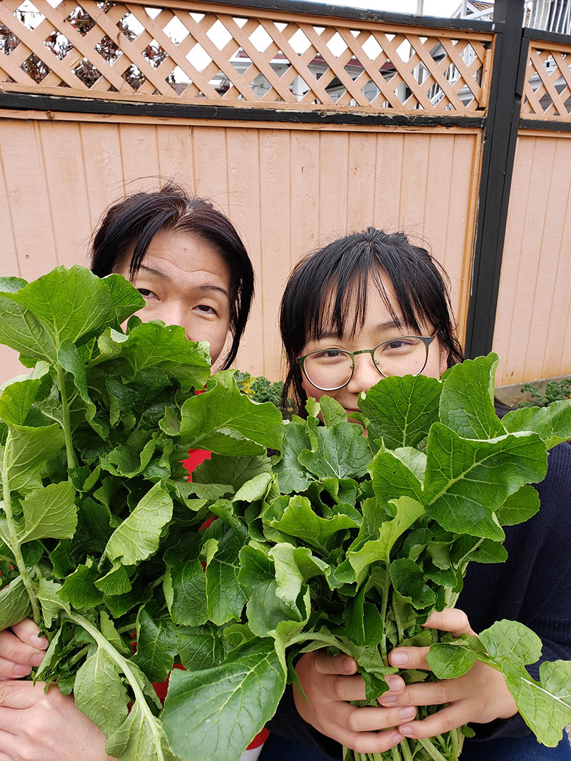 Melisa Tang Choy, right, and her aunt, left, stand in front of a peach wall as they hold up green radish leaves that cover parts of their the faces leaving their eyes and forehead visible.