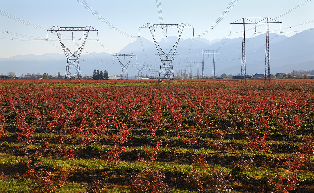 Fraser Valley transmission lines