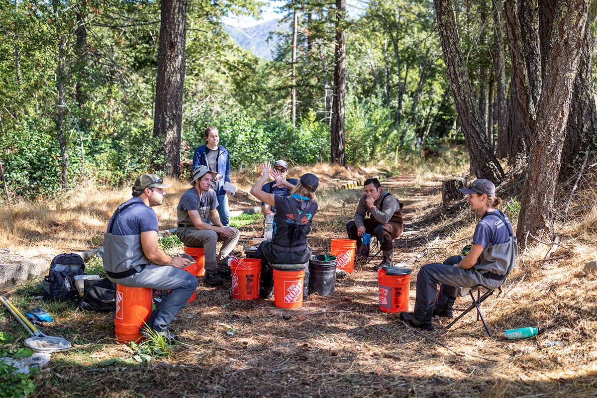 960px version of YellowjacketCreekSalmonRelease4.jpg