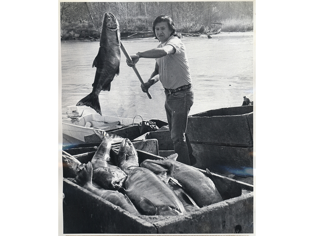 An image of Native American rights advocate and fisher Billy Frank Jr. standing on a river and raising a large fish with a rod.