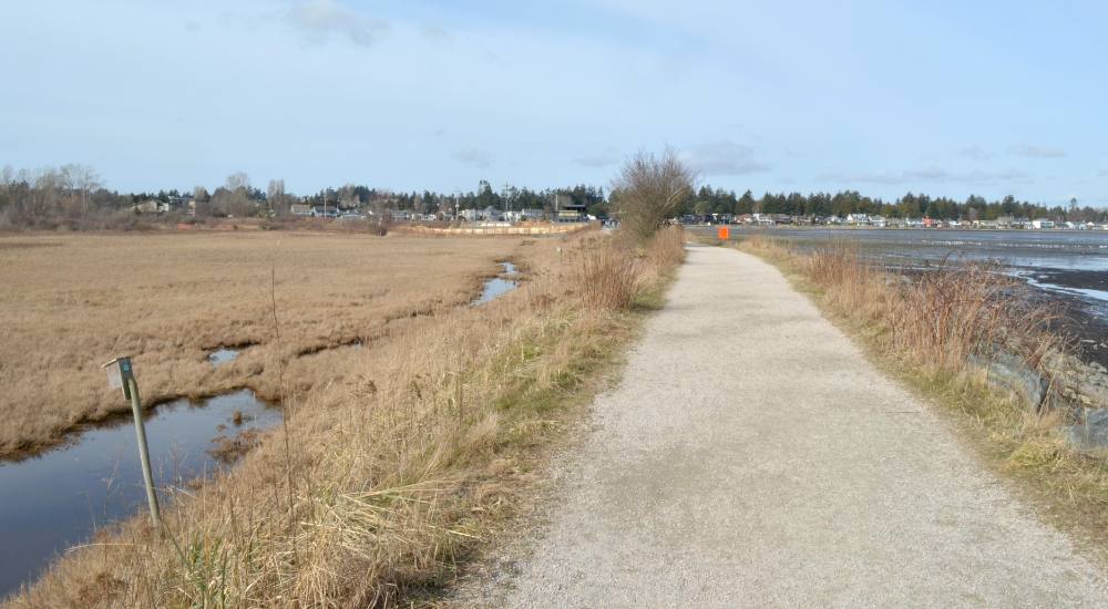 A dike in Delta protects the municipality from rising water levels. The wide gravel walkway atop the dike is flanked by long dry grass on either side, a marsh on the left, and the ocean to the right.