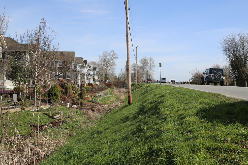 On the left, a row of large houses with pitched roofs. On the right, the land slopes upward with a road on its flat top.