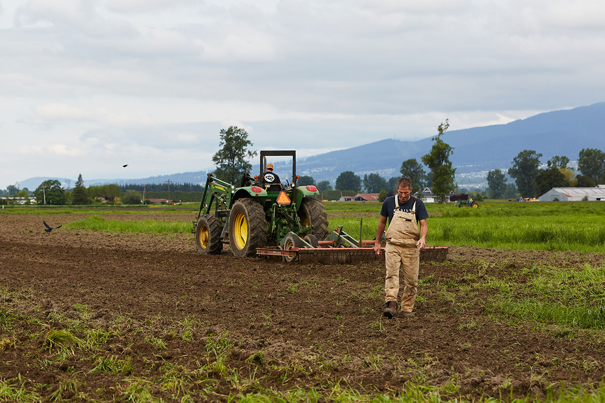 A farmer in beige overalls over a navy blue t-shirt walks away from a green tractor through a field he has recently planted. New grass is visible in the dirt he walks through. In the background are blue mountains and a cloudy grey sky. 