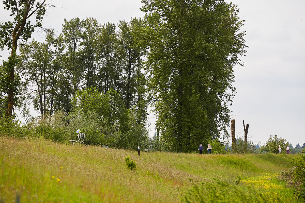 People can be seen in the distance atop of what looks like a grassy knoll. It’s a dike in Pitt Meadows built on the Alouette River. Tall green trees are in the background, and lush grass covers the dike.