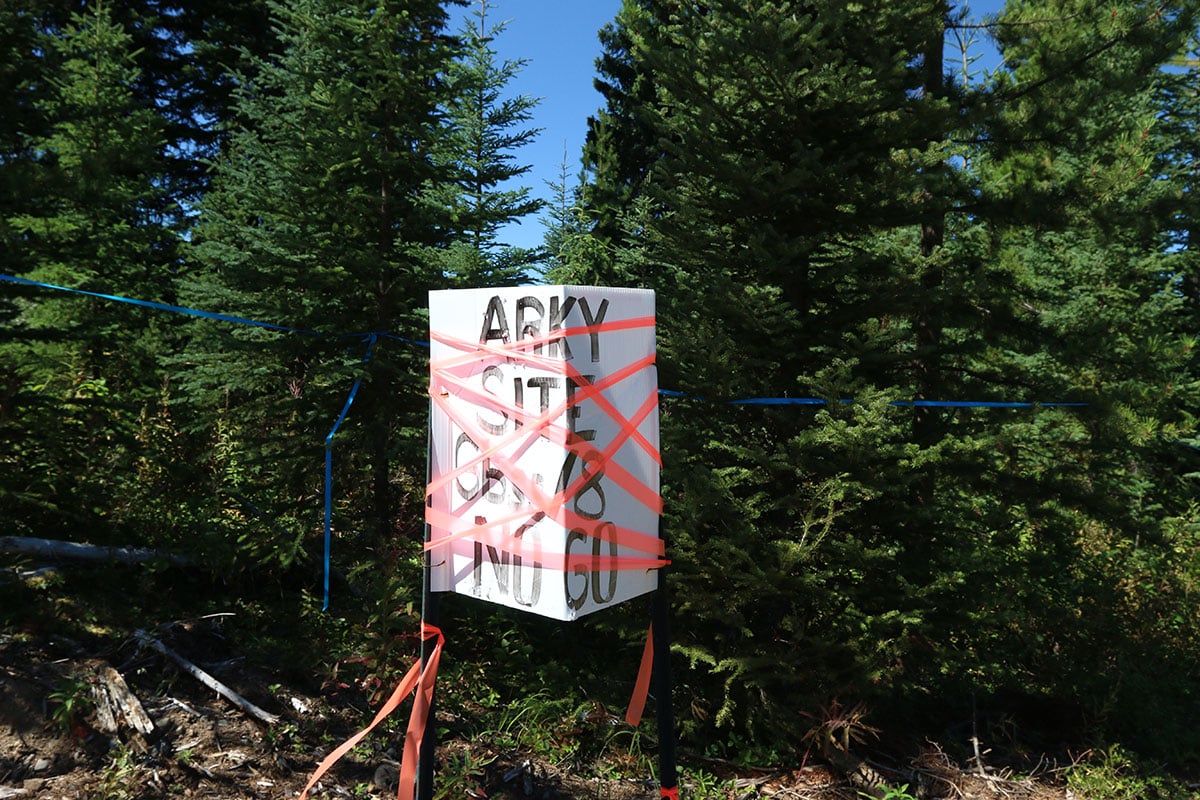 A sign saying ARKY marks a site in an area with trees and brush.