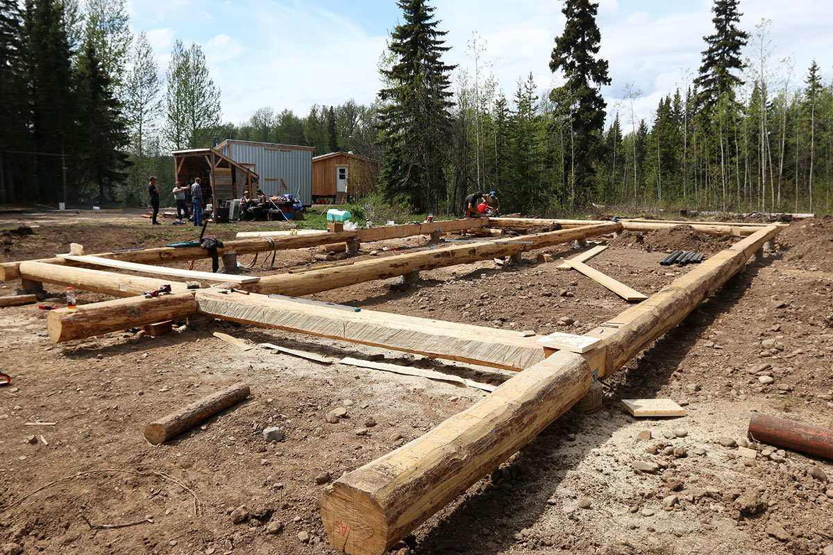 Poles made from cedar tree trunks are laid out on the ground, assembled into the beginnings of a structure. 