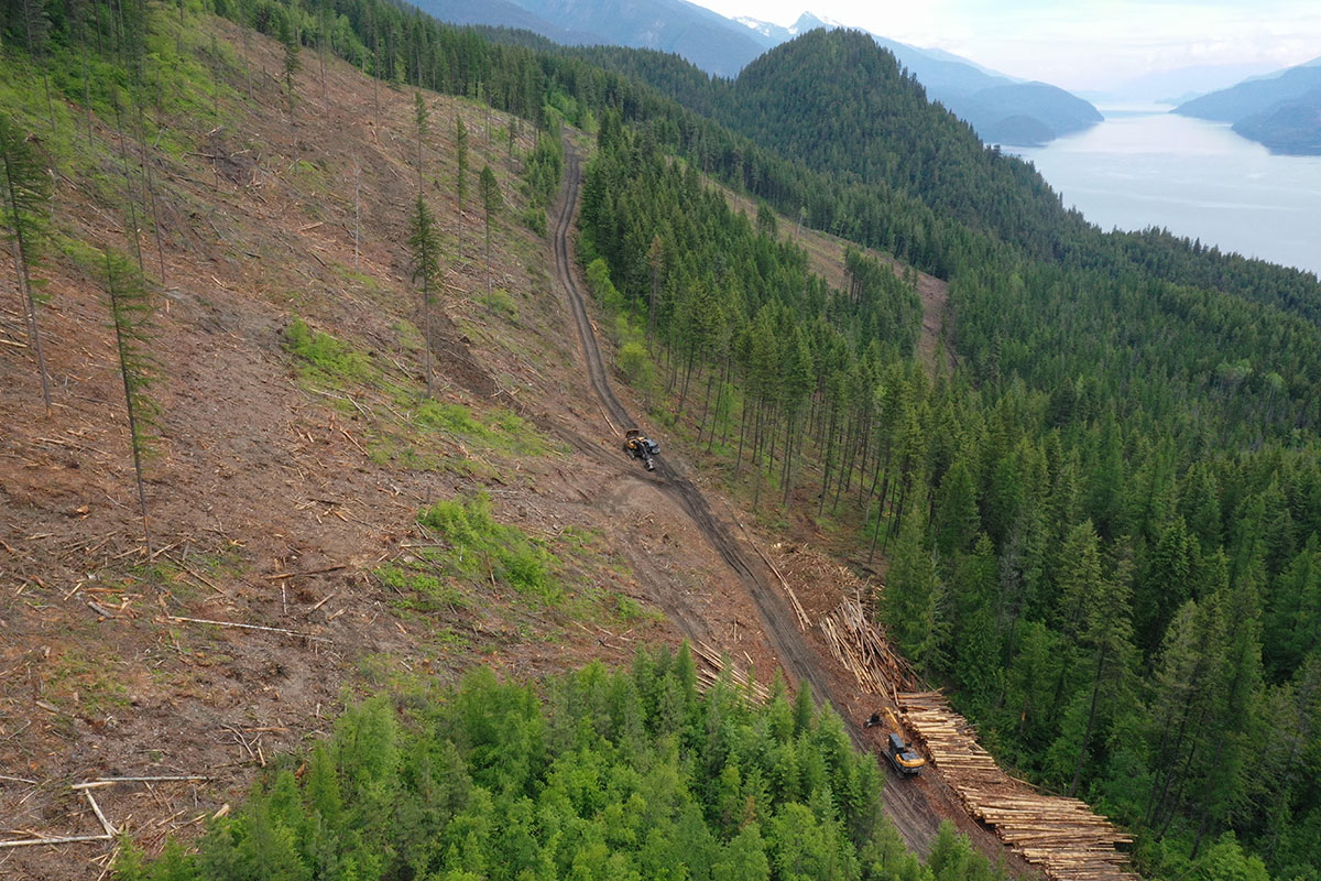 A mountain slope that has been clear cut of forest, with a long blue lake filling a valley in the distance.