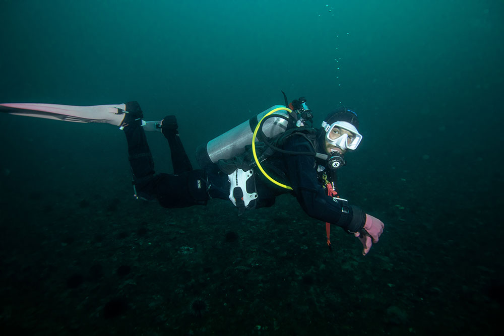 Drew Beattie swims through dark blue waters. His head is covered with a black neoprene hood, a white scuba mask and a regulator, which he breathes from. He has hot pink gloved and fins on, and a black scuba suit that covers the rest of his body. Silver oxygen tanks are strapped to his back. 