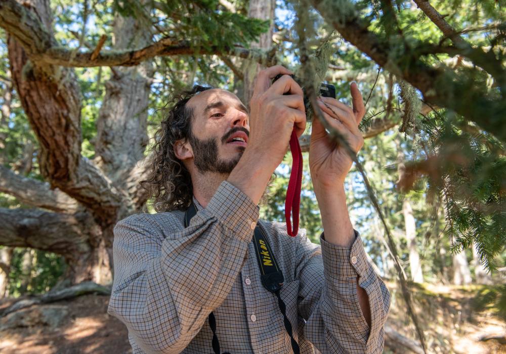 A man with a beard and long hair takes a photo of lichen on a tree.