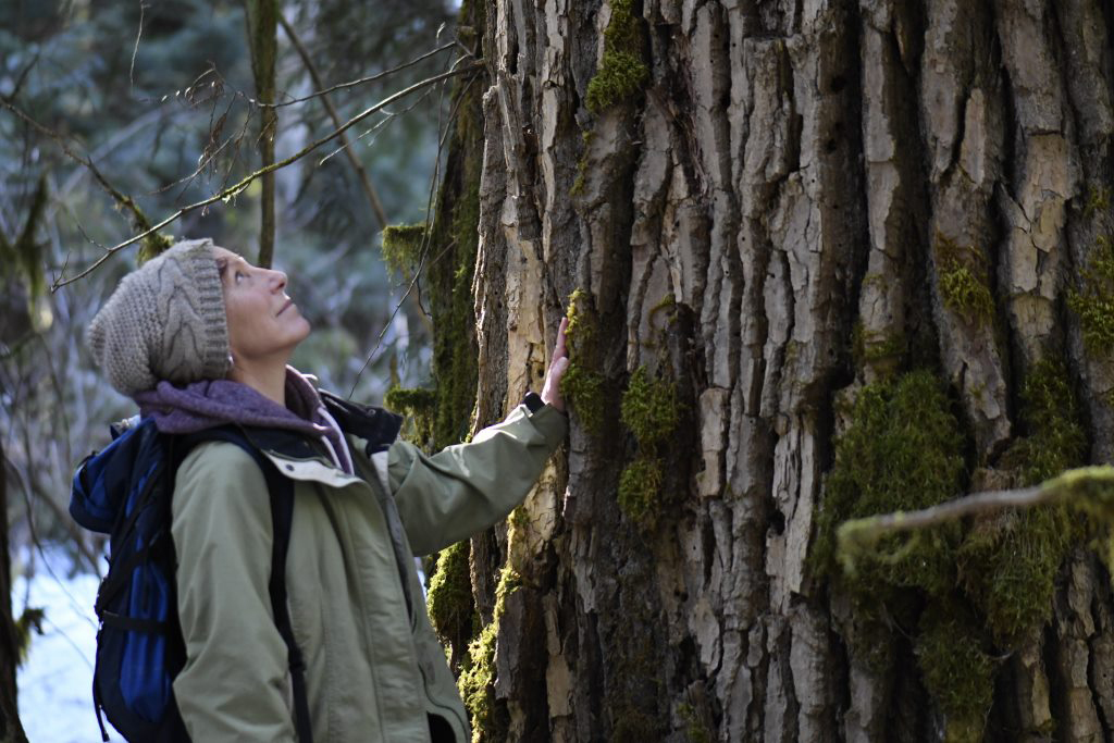 Dona-Grace Campbell is wearing a grey toque and light green jacket with a blue backpack. She is placing one hand on the trunk of a large tree and is looking up, smiling.