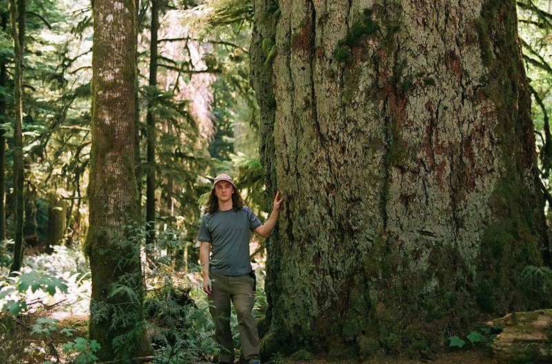 A Day in the Life: A Big-Tree Hunter