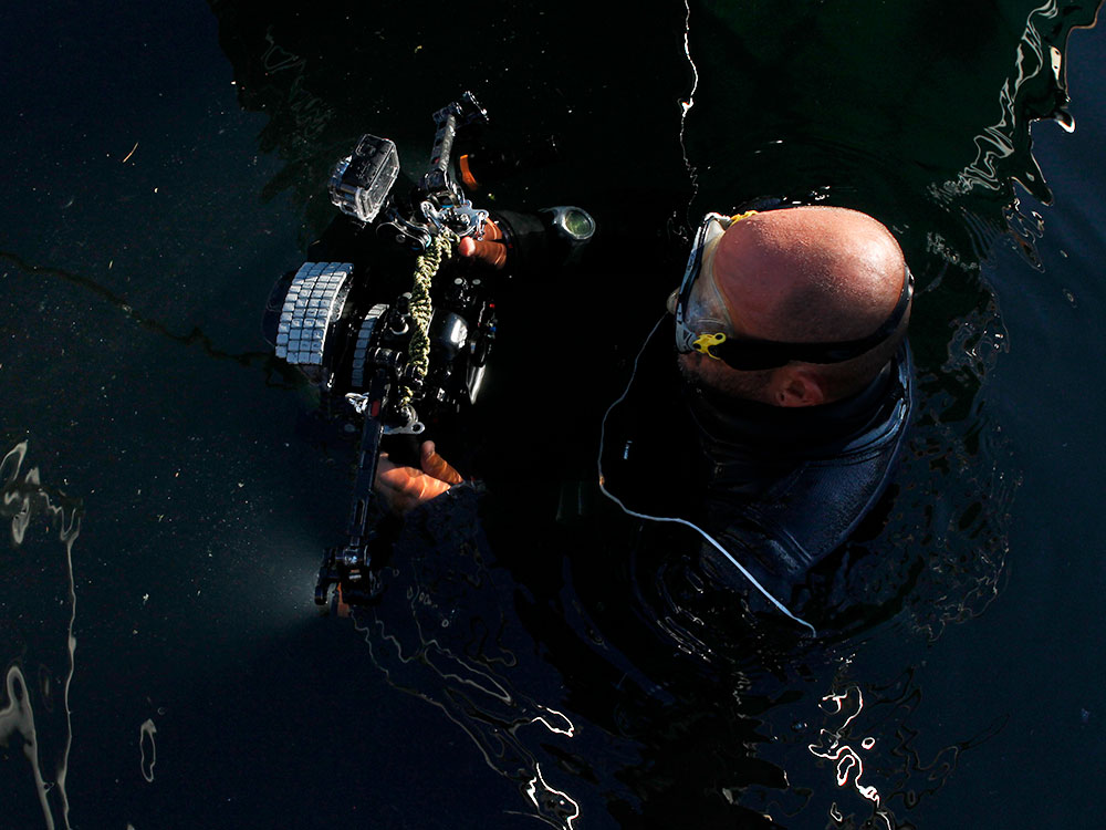 An aerial photograph of a man with a snorkel mask holding a large underwater camera with lights attached. Sunlight illuminates the top of his head but the Pacific ocean looks black around him. 