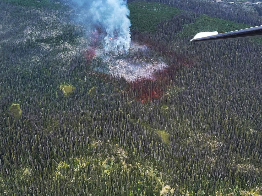 Aerial photo from a plane of a patch of forest. Smoke is rising from the trees.