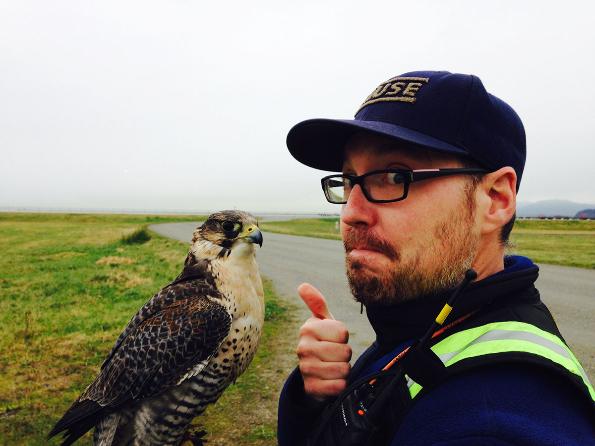Chuck DeCoste stands near the runaway at YVR. A peregrine falcon rests on a glove on his hand, and he gives a thumbs-up to the camera.