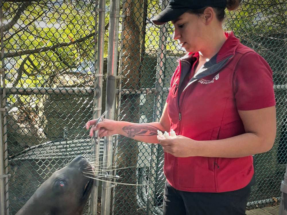 DeBenedetto holds up a fish for a sea lion. 