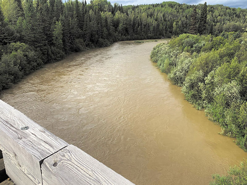 The Anzac River runs between forested banks, murky brown with sediment. The photo is taken from a bridge and the weathered wooden railing is visible in the foreground.
