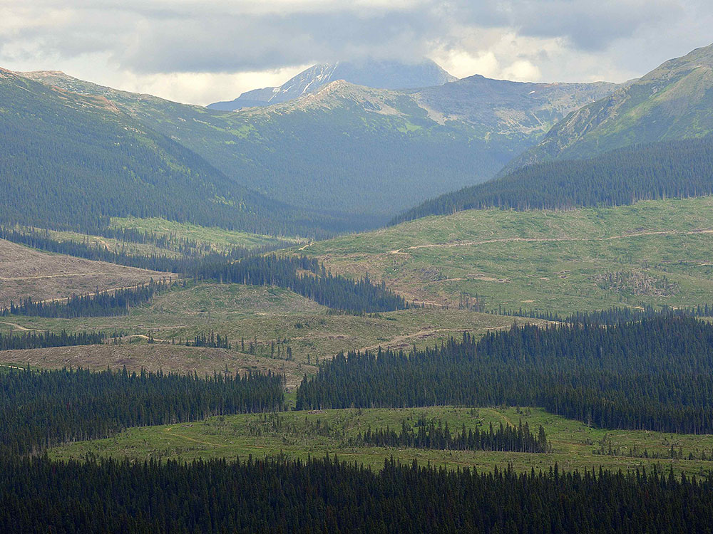 A cloud-shrouded mountain is in the background. In the foreground are large expanses of clearcut forest.