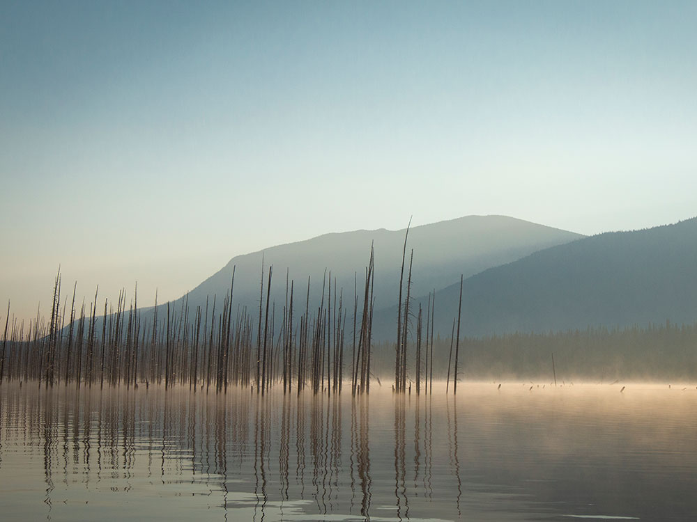 Repairing the Devastation of the Nechako Reservoir