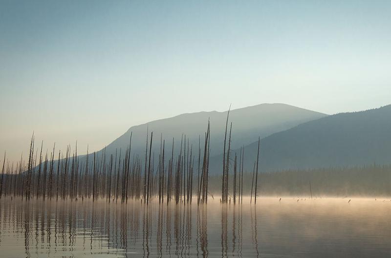 70 Years after the Flood: Cheslatta’s Fight to Reclaim Its Territory