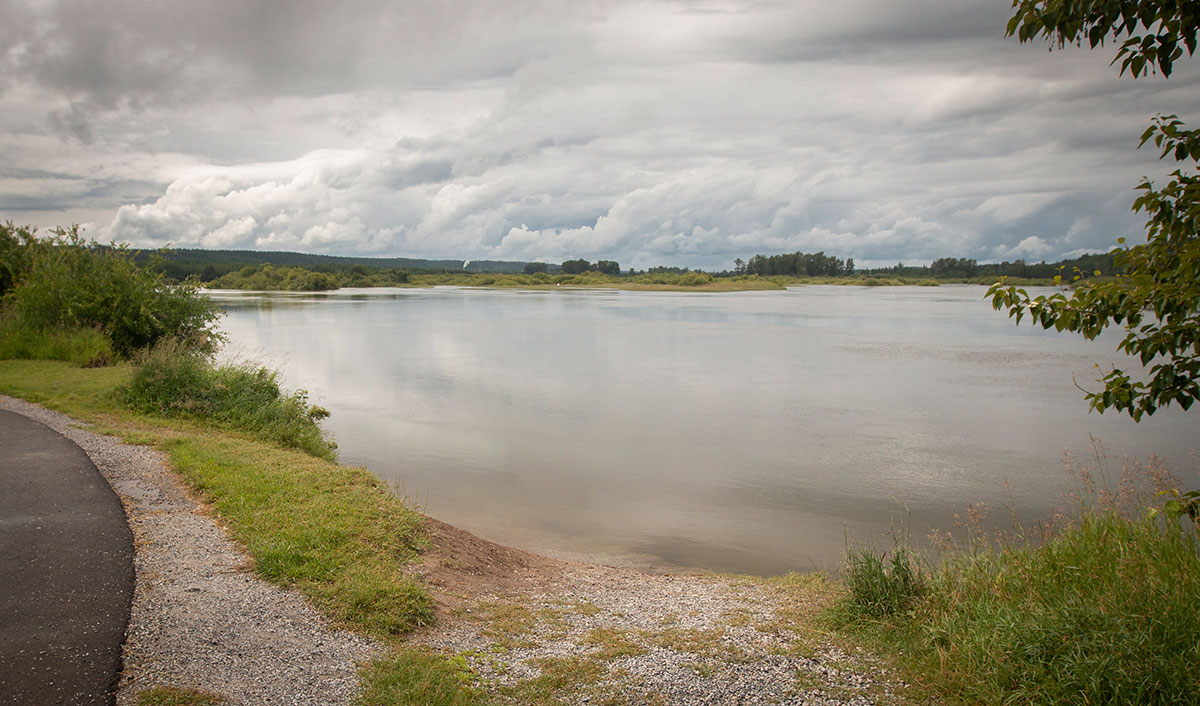 The Nechako River at high water level as a result of releases from the reservoir. There is a broad expanse of water.