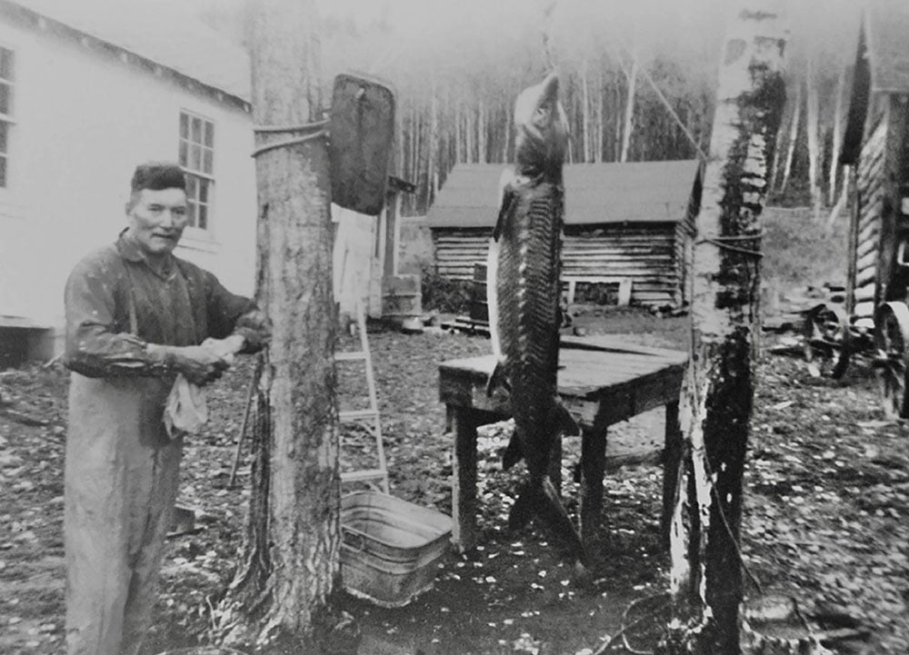 An old black-and-white photo shows an Indigenous man in a rural backyard, with a two-metre sturgeon hanging from a rope between two trees.