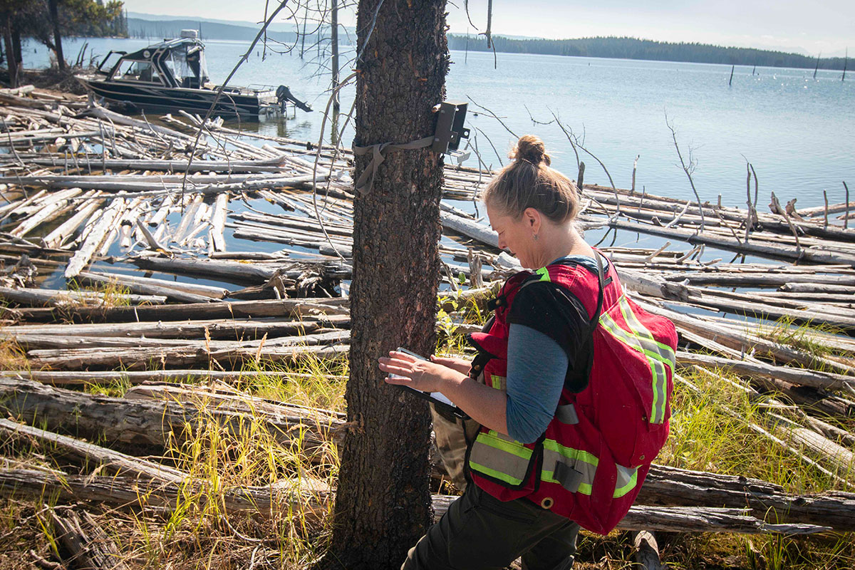 A woman in a high-visibility vest stands next to a tree looking at an electronic device. Behind her is a waterbody with logs along the shoreline and a boat in the distance.