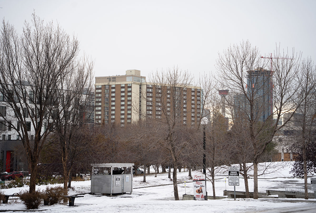 BridgelandPlaceWinterTrees.jpg