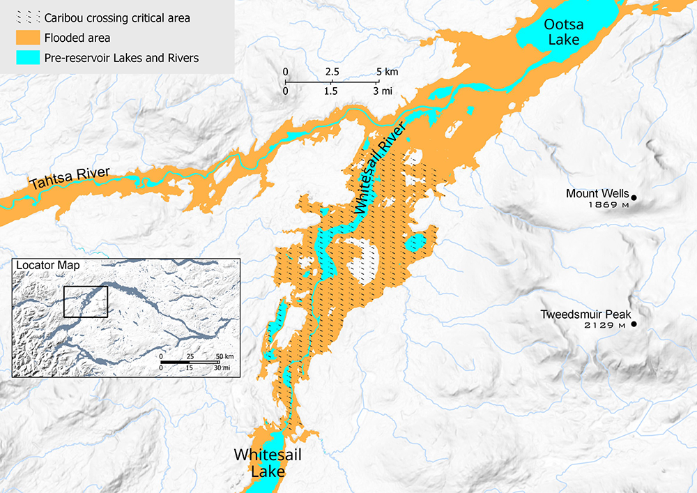 A closeup map of the Nechako Reservoir focuses on Whitesail Reach, showing the post-flooding area, pre-reservoir lake and river levels and caribou crossing areas.