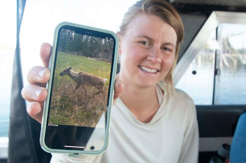 Rescuing Caribou from the Dam’s Damage