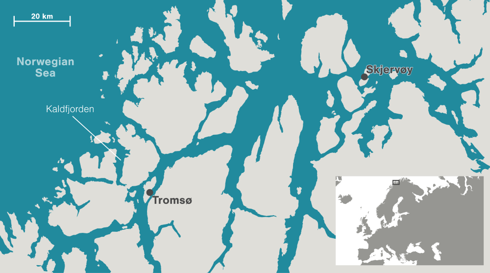 A map shows Tromso on an island in a coastline with a lot of fjords. Northest, on another island, is Skjervoy.