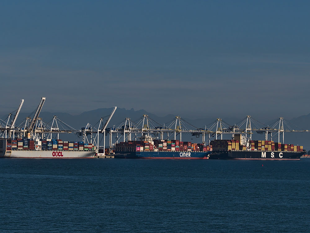 Container ships are docked at a port. Behind them are about a dozen large white cranes used to load and unload them.