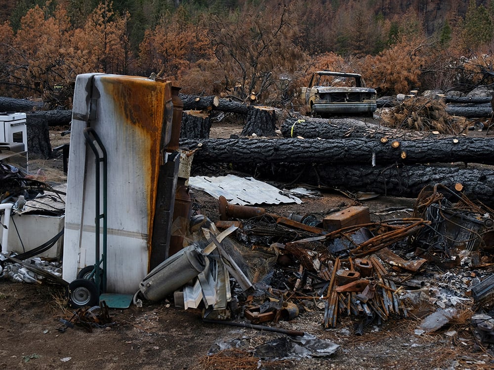 Burned debris, cut down trees, and a rusty refrigerator.