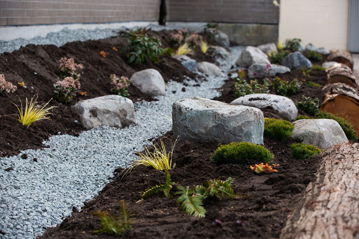 The finished rain garden features many different kinds of plants and is lined with logs.