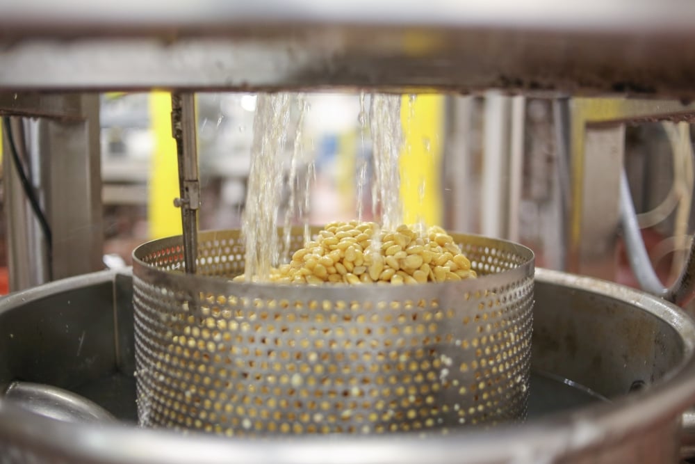 A tray of soybeans is filtered of water in a factory setting.