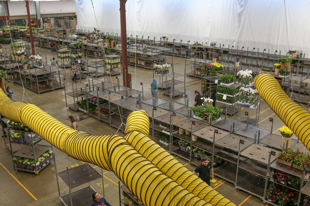 A giant warehouse space with carts of flowers. Hanging from the ceiling are four giant snake-like tubes; these are air ducts.