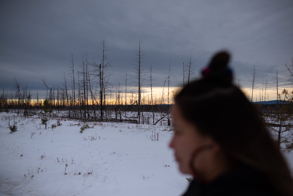 Woman side profile out of focus. The sun setting on a landscape of burnt forest is behind her. 