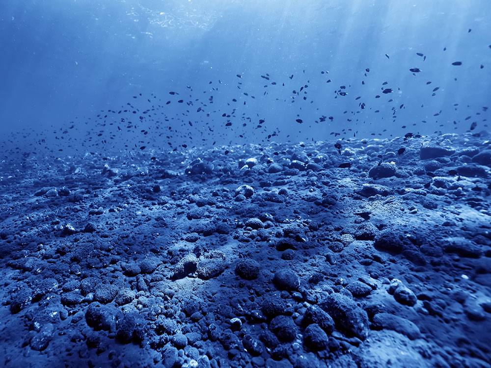 Sediment churns up from the ocean floor in blue-lit seascape.
