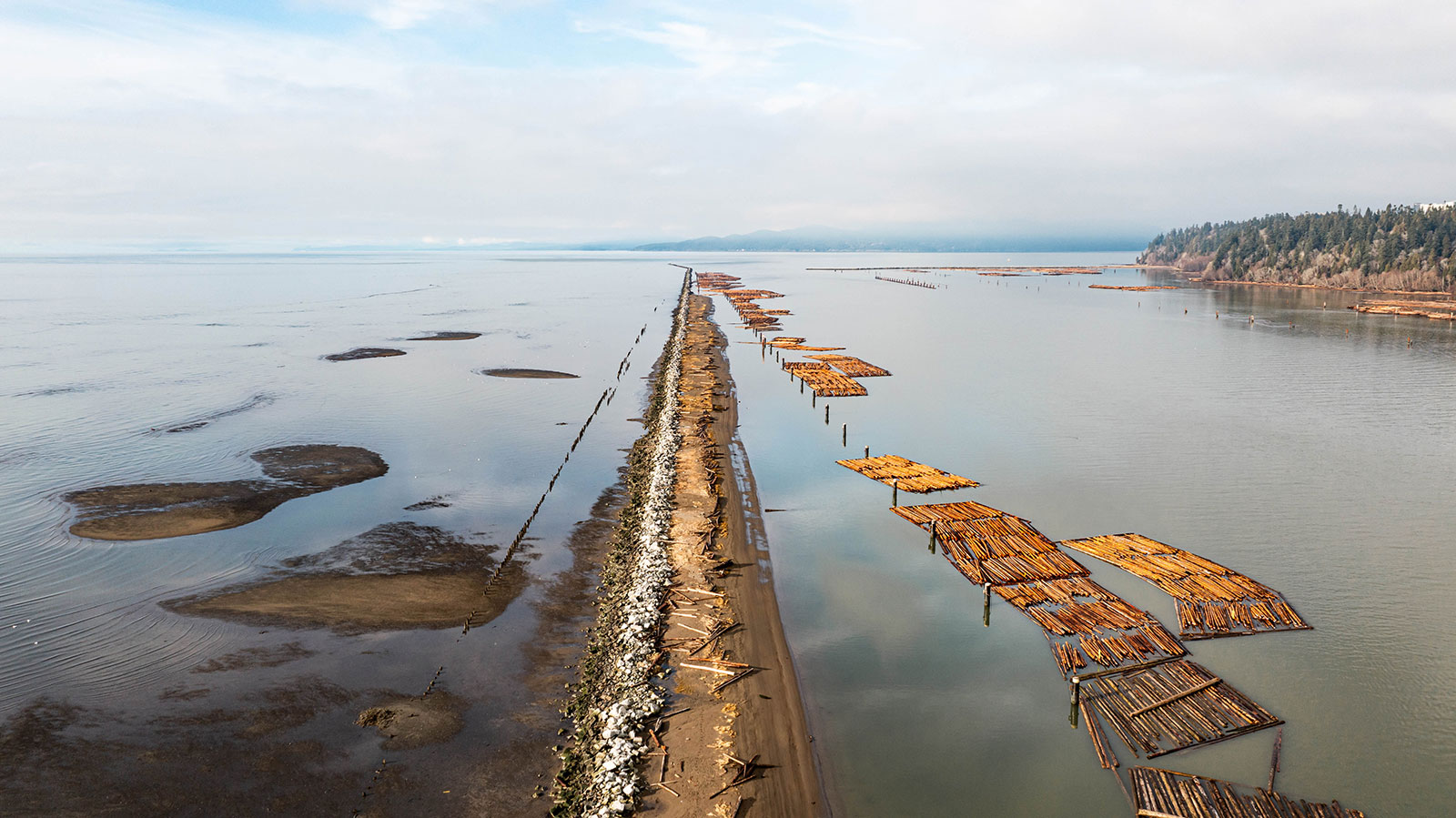 A narrow strip of land, bordered on one side by a muddy beach and on the other by a channel with logs floating on it. To the right is the south western tip of Vancouver.