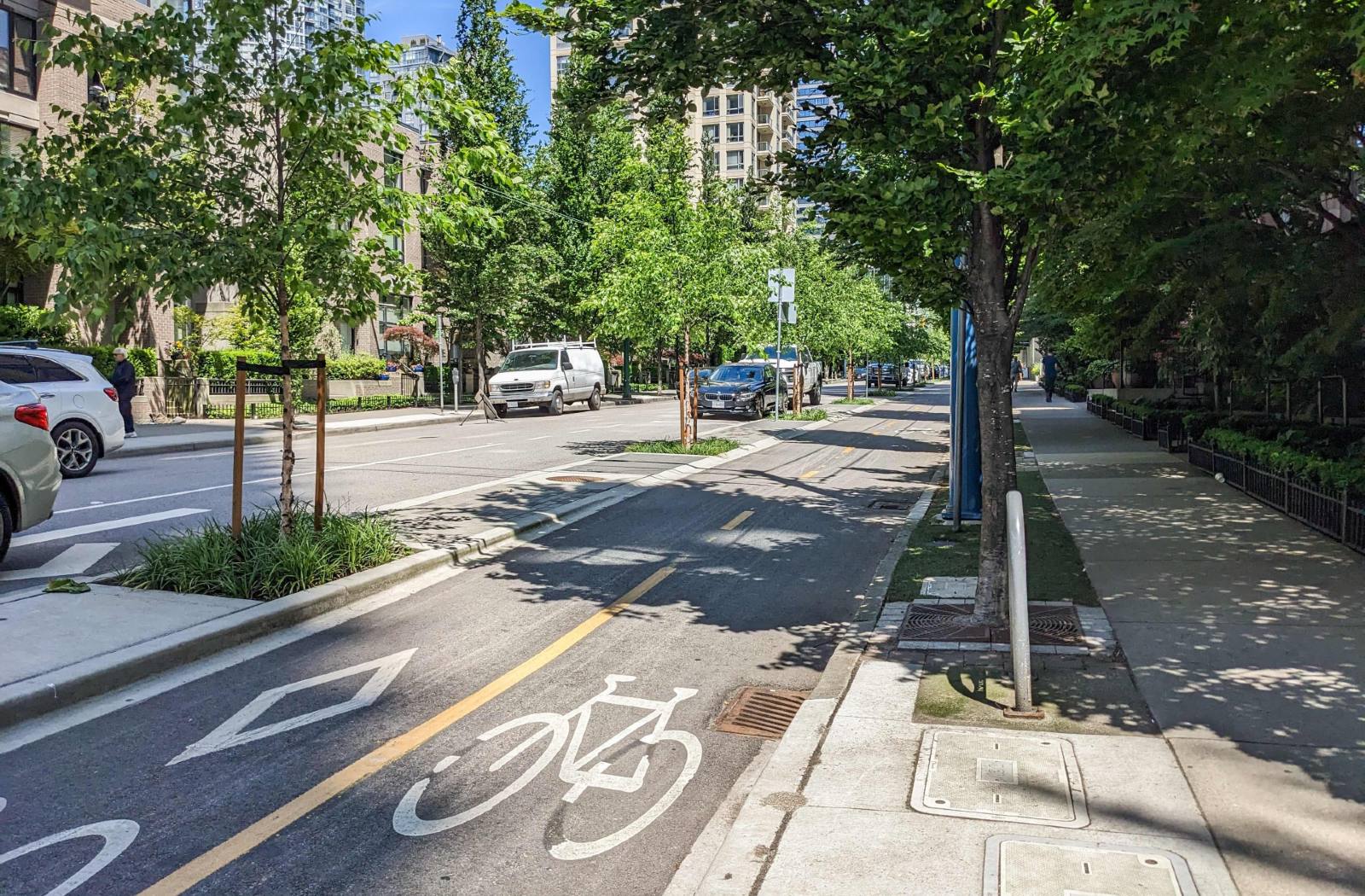A separated bike lane between the sidewalk and a one-way road. Adjacent is a line of street trees. It is a sunny day with blue skies.