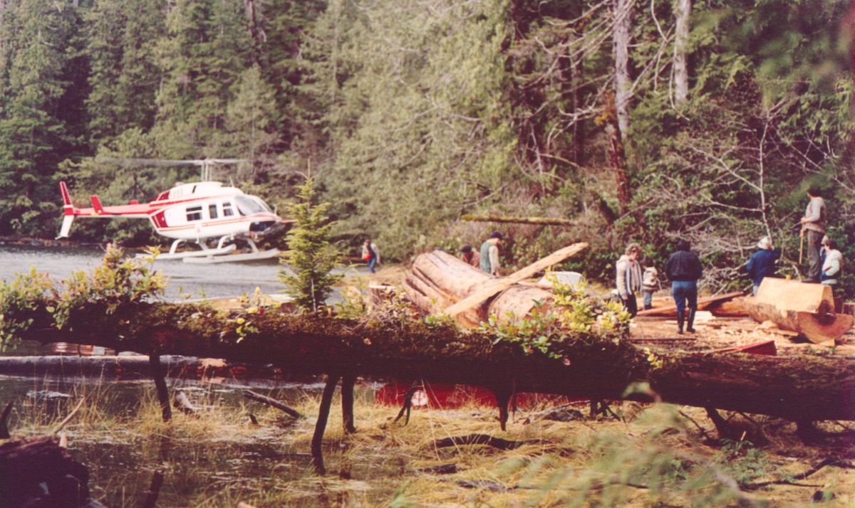 A red and white helicopter touches down in a heavily wooded bay. On the shore people are standing in between large felled trees and planks of wood.