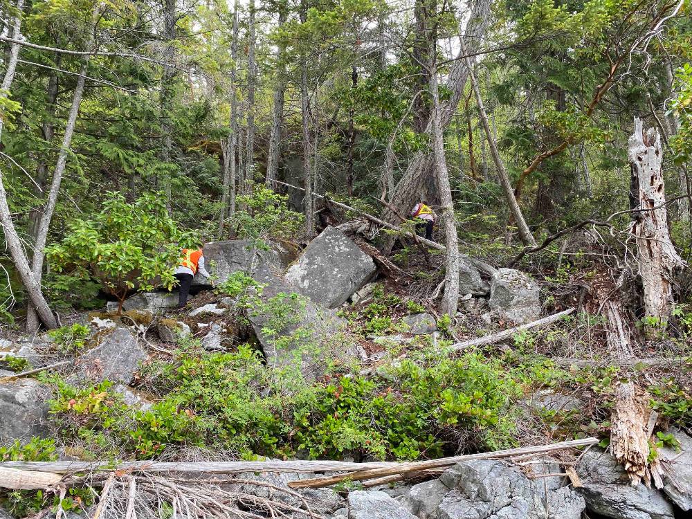 Two people wearing hi-vis vests scramble up a hillside.